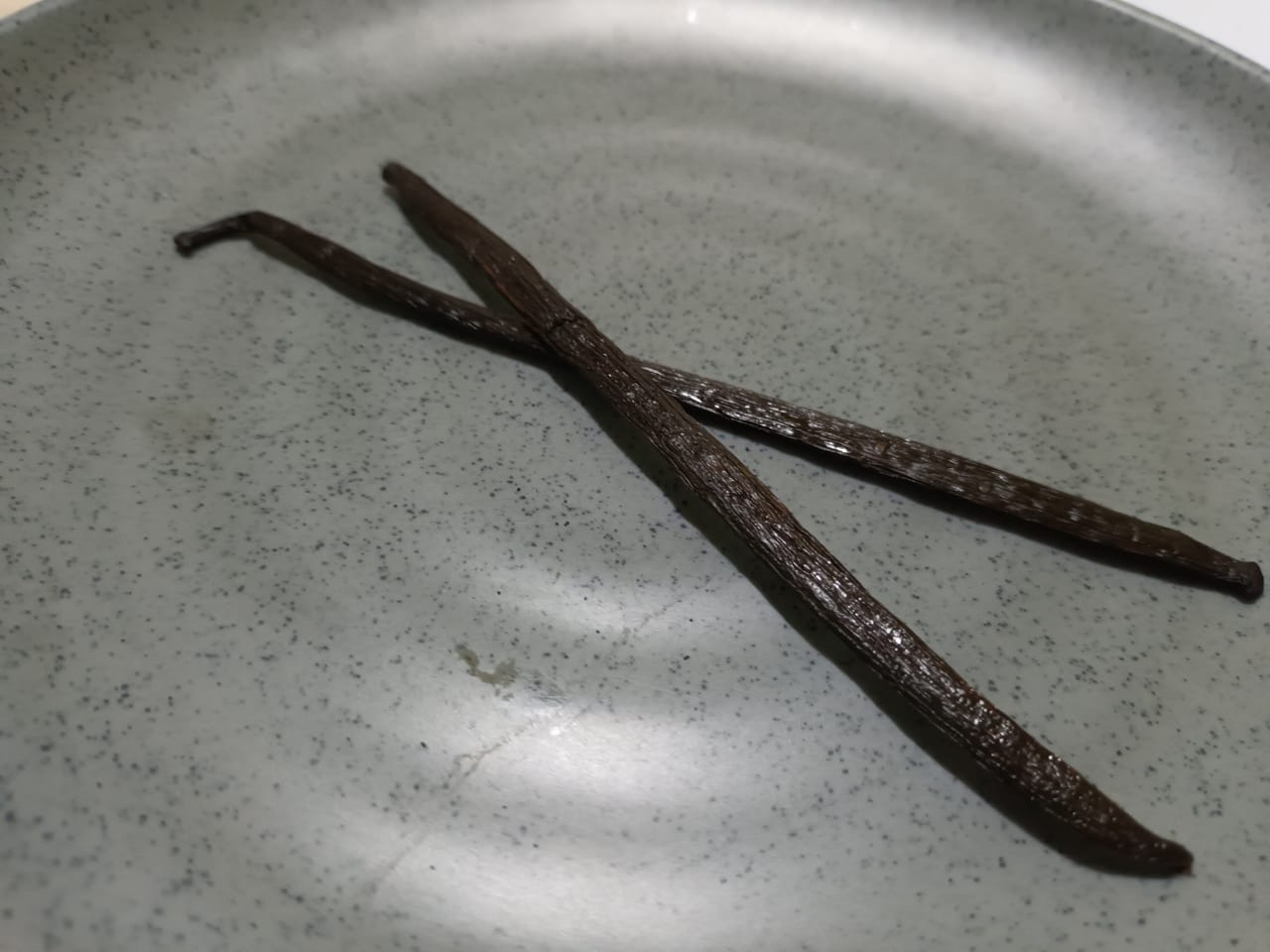 Crossed Whole Planifolia Pods Close Up