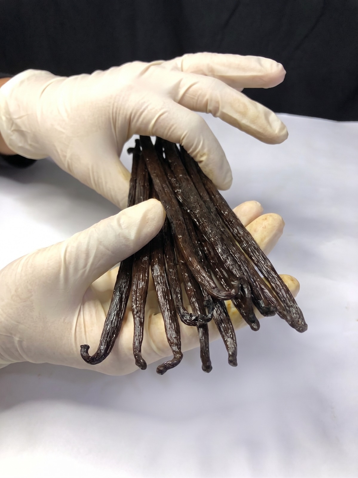 Vacuum Sealed Planifolia Moisture Retention Detail